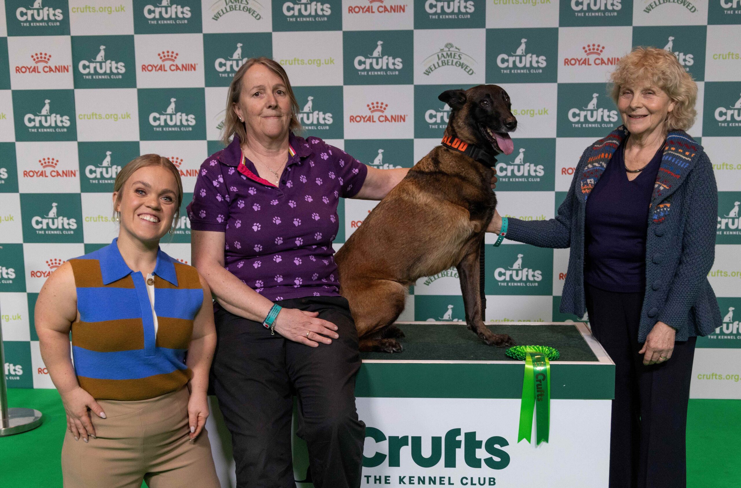 crufts-begins-search-for-nation-s-hero-dog-2026-essex-tv